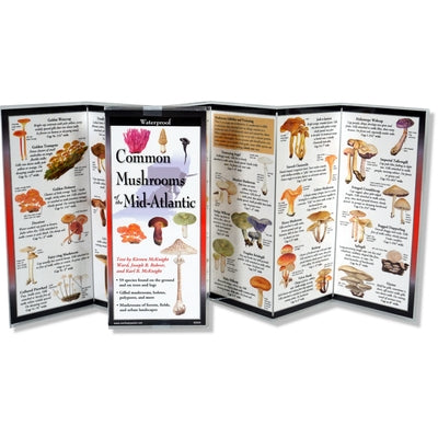 Common Mushrooms of the Mid-Atlantic by McKnight Ward, Kirsten