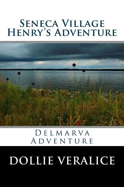 Seneca Village Henry's Adventure by Veralice, Dollie