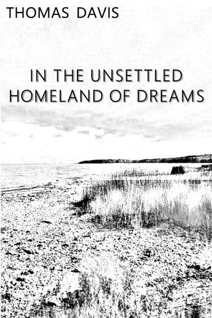 In the Unsettled Homeland of Dreams by Davis, Thomas