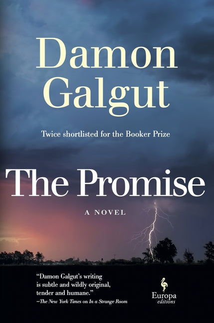 The Promise by Galgut, Damon