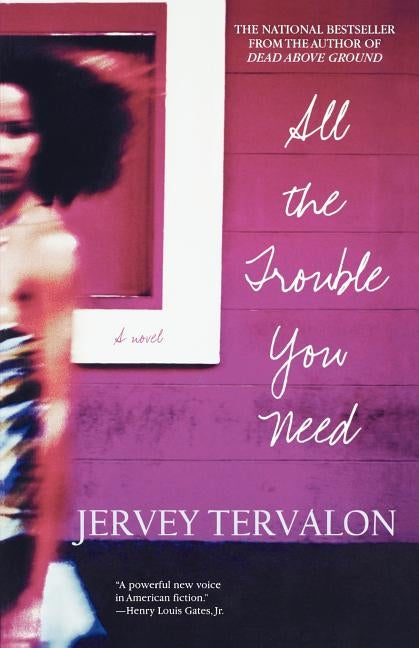 All the Trouble You Need by Tervalon, Jervey