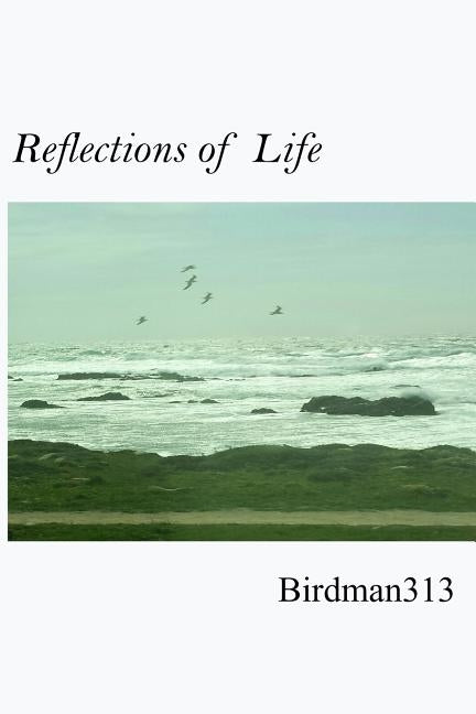 Reflections of Life by Birdman313