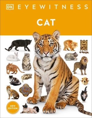 Cat by DK