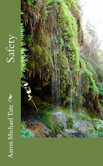 Safety: To You Forever by Tate, Aaron