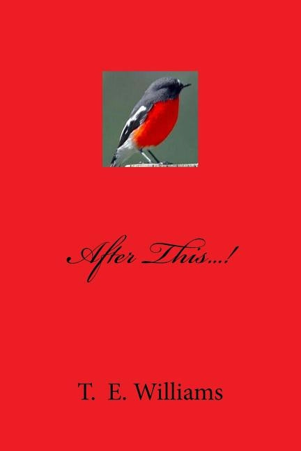 After This...! by Williams, T. E.