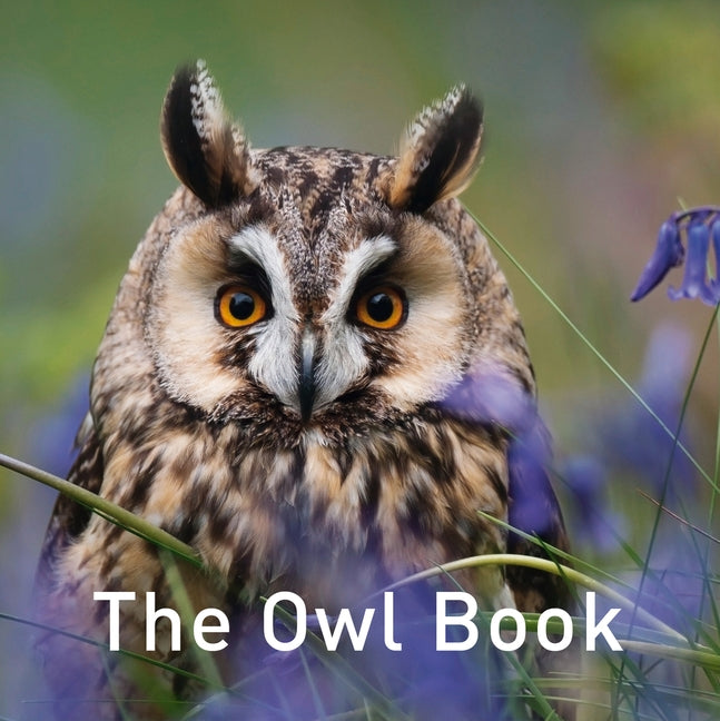 The Owl Book by Jane, Russ