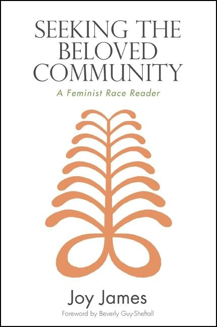 Seeking the Beloved Community: A Feminist Race Reader by James, Joy