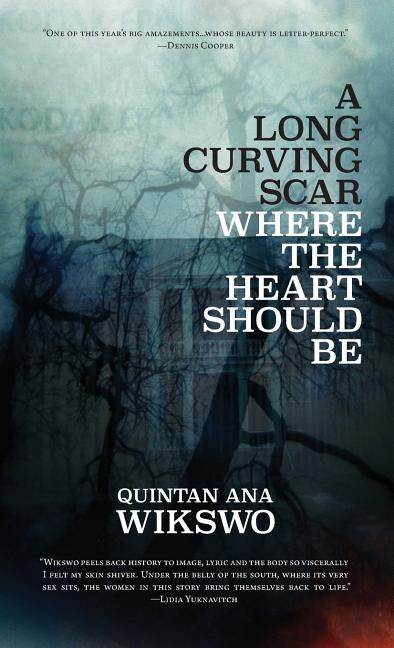 A Long Curving Scar Where the Heart Should Be by Wikswo, Quintan Ana