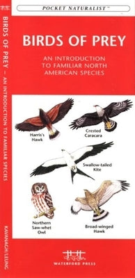 Medicinal Plants: An Introduction to Familiar North American Species by Kavanagh, James