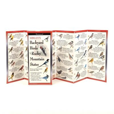 Sibley's Backyard Birds of Rocky Mountain States by Sibley, David Allen