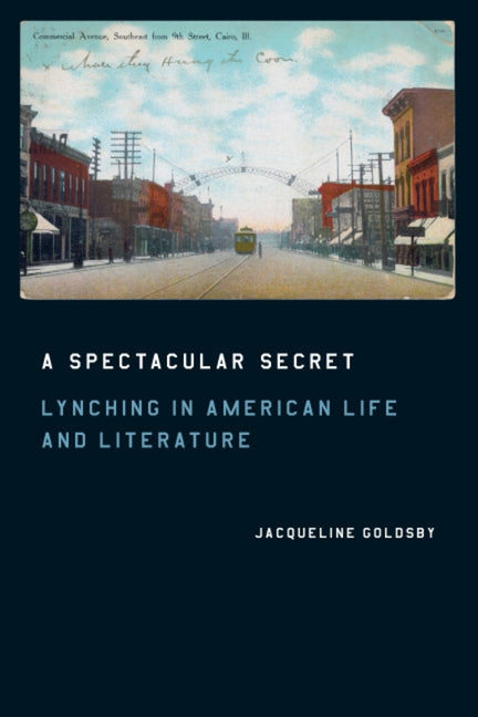 A Spectacular Secret: Lynching in American Life and Literature by Goldsby, Jacqueline