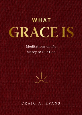 What Grace Is: Meditations on the Mercy of Our God by Evans, Craig a.