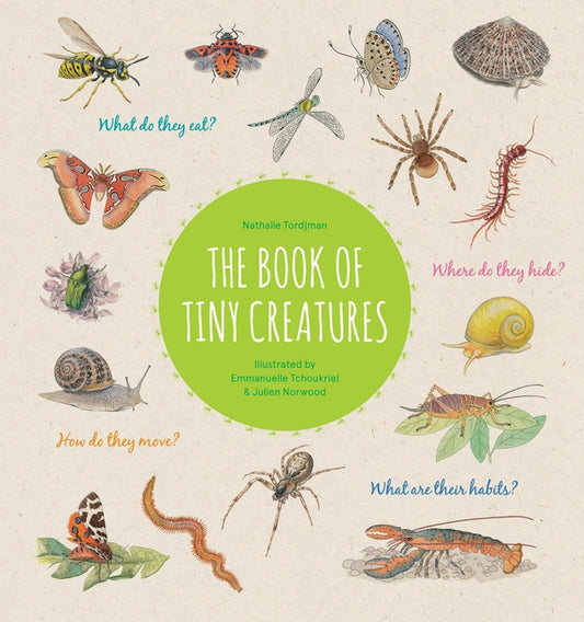 The Book of Tiny Creatures by Tordjman, Nathalie