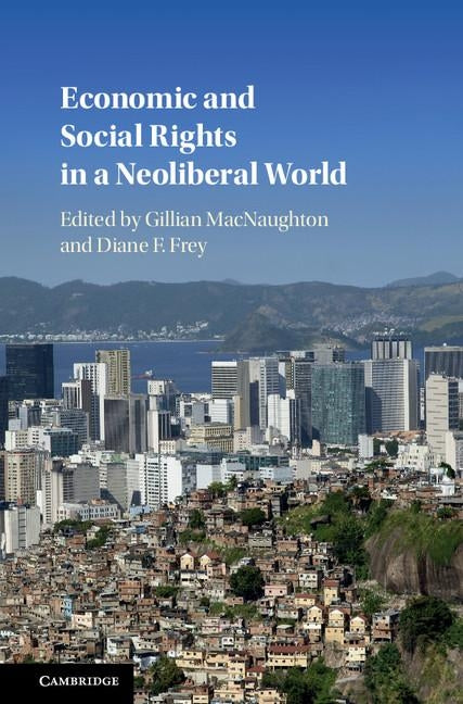 Economic and Social Rights in a Neoliberal World by Macnaughton, Gillian