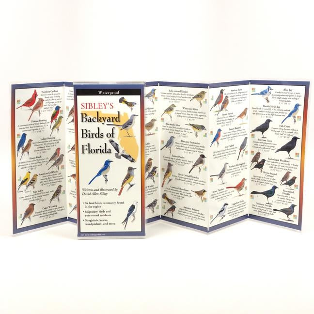 Sibley's Backyard Birds of Florida by Sibley, David