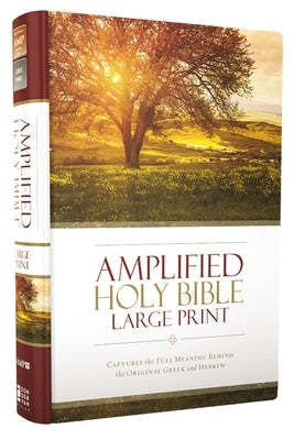 Amplified Bible-Am-Large Print: Captures the Full Meaning Behind the Original Greek and Hebrew by Zondervan