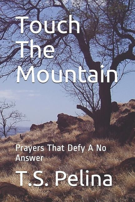 Touch The Mountain: Prayers That Defy A No Answer by Pelina, T. S.