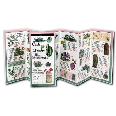 Cacti of the Desert Southwest by Logowitz, Madeline