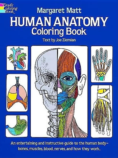 Human Anatomy Coloring Book by Matt, Margaret