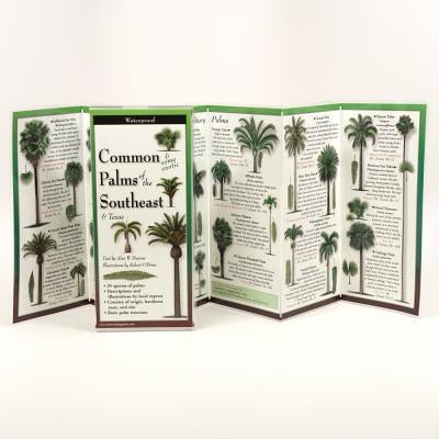 Common Palms of the Southeast & Texas by Meerlow, Alan W.