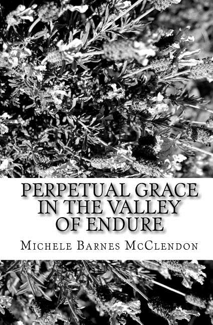 Perpetual Grace in the Valley of Endure: A Poetic Interlude by McClendon, Michele Barnes