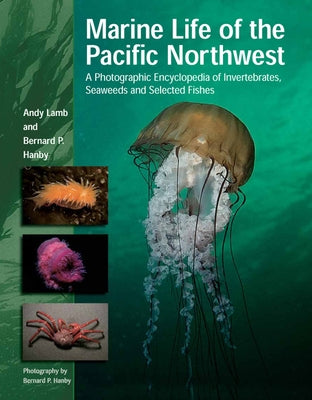 Marine Life of the Pacific Northwest: A Photographic Encyclopedia of Invertebrates, Seaweeds and Selected Fishes by Lamb, Andy