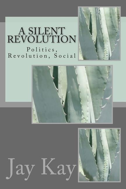 A Silent Revolution: Politics, Revolution, Social by Kay, Jay