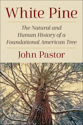 White Pine: The Natural and Human History of a Foundational American Tree by Pastor, John