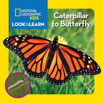 National Geographic Kids Look and Learn: Caterpillar to Butterfly by Kids, National