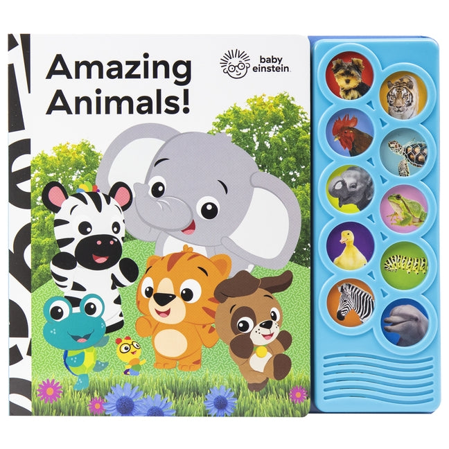 Baby Einstein: Amazing Animals! [With Battery] by Rader, Mark