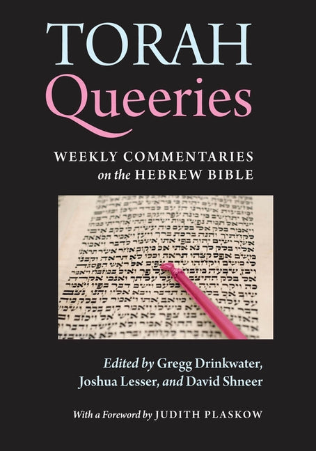 Torah Queeries: Weekly Commentaries on the Hebrew Bible by Drinkwater, Gregg