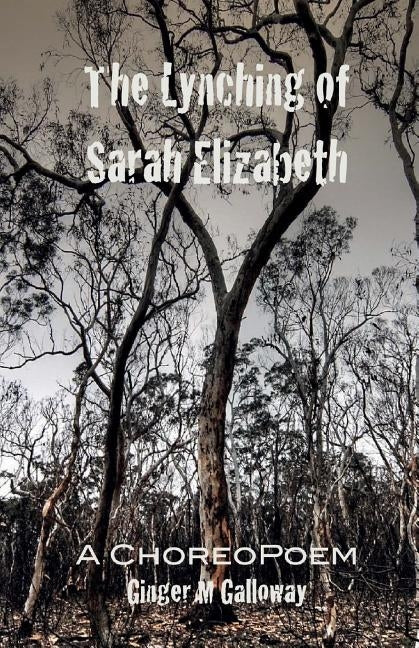 The Lynching of Sarah Elizabeth by Galloway, Ginger M.