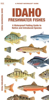 Idaho Freshwater Fishes: A Waterproof Folding Guide to Native and Introduced Species by Morris, Matthew