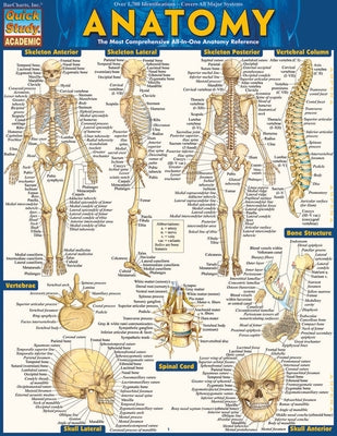 Anatomy - Reference Guide (8.5 X 11): A Quickstudy Reference Tool by Perez, Vincent