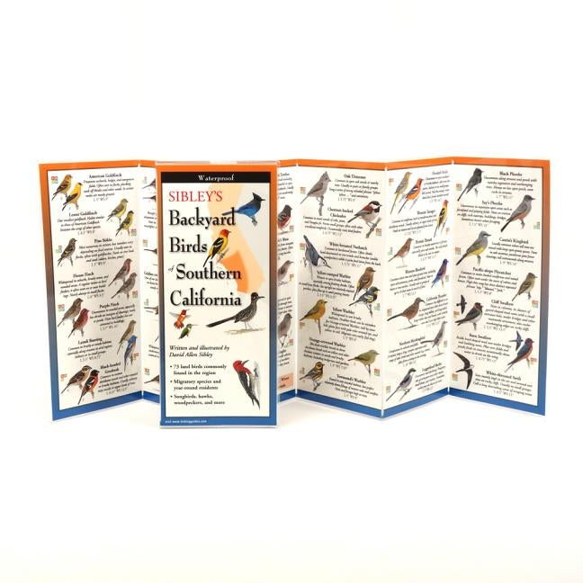 Sibley's Backyard Birds of Southern California by Sibley, David Allen