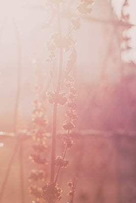 Good Morning: Weekly Planner by Carruthers, Carol