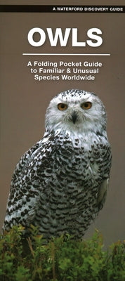 Owls: A Folding Pocket Guide to Familiar Species Worldwide by Kavanagh, James