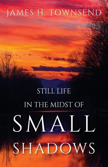 Still Life in the Midst of Small Shadows by Townsend, James H.