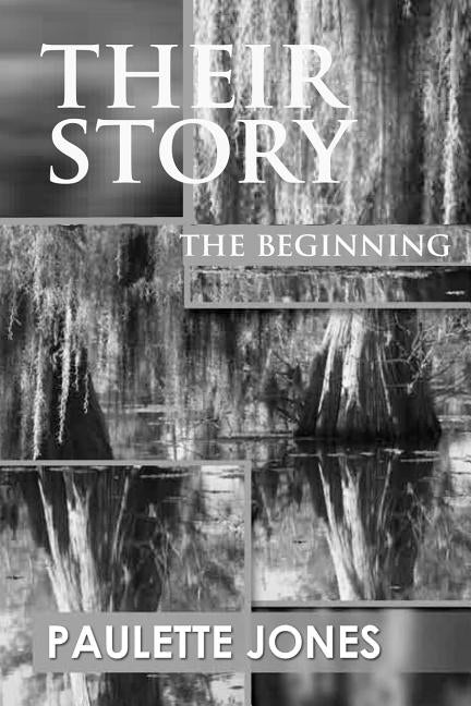 TheirStory: The Begginning by Jones, Paulette