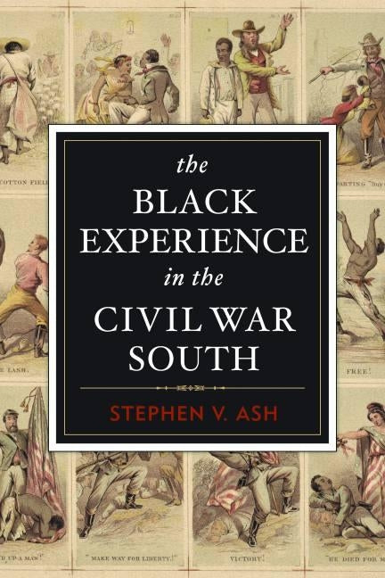 The Black Experience in the Civil War South by Ash, Stephen V.