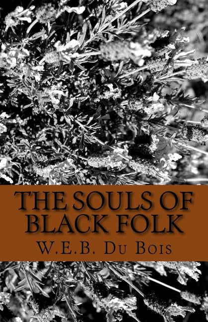 The Souls of Black Folk by Du Bois, W. E. B.
