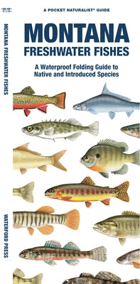 Montana Freshwater Fishes: A Waterproof Folding Guide to Native and Introduced Species by Morris, Matthew