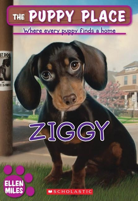 Ziggy by Miles, Ellen