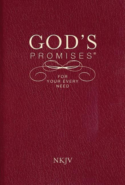 God's Promises for Your Every Need, NKJV by Countryman, Jack