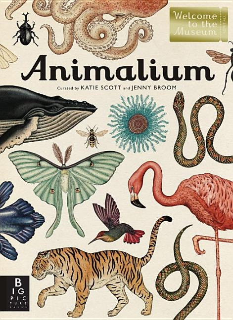 Animalium: Welcome to the Museum by Broom, Jenny