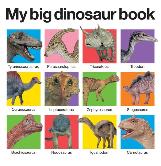 My Big Dinosaur Book by Priddy, Roger