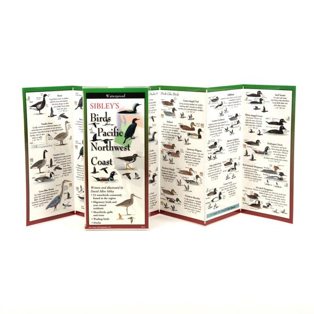 Sibley's Birds of Pacific NW Coast by Sibley, David Allen