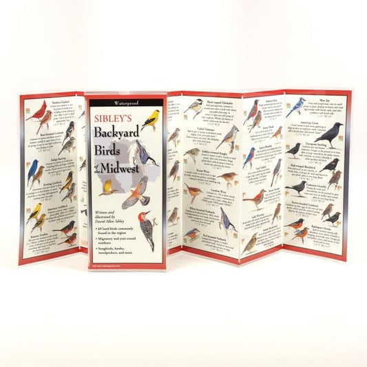 Sibley's Backyard Birds of the Midwest by Sibley, David Allen