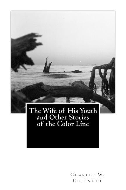 The Wife of His Youth and Other Stories of the Color Line by De Land, Clyde O.