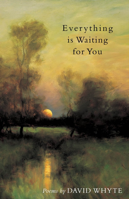 Everything Is Waiting for You by Whyte, David